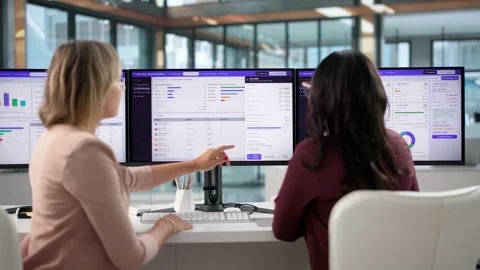 Human Resources Manager Guides Two Women Stock Footage 347898835