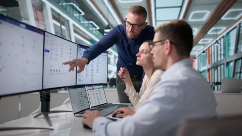 Human Resources Manager Reviewing Payroll Software Stock Footage 336786131