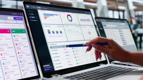 Human Resources Manager Reviews Candidate Profiles Stock Footage 344717514