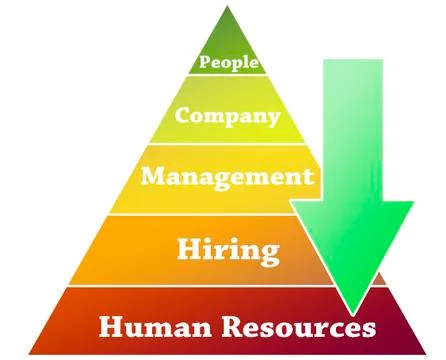 Human resources pyramid illustration イラスト素材
