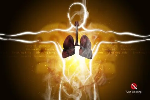 Human respiratory system with lungs Stock Illustration