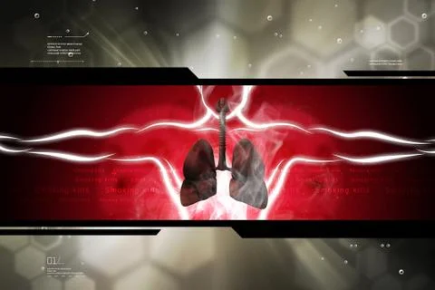 Human respiratory system with lungs Stock Illustration