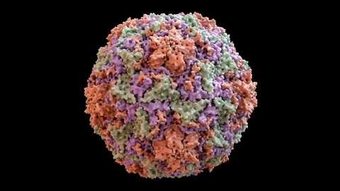 Human Rhino Virus (common cold virus) Capsid Structure based on PDB : 4RHV, 360  Stock Footage 106167898