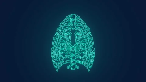 Human rib cage bones anatomy medical science technology Stock Footage 272315898