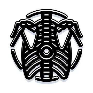 Human rib cage skeleton structure anatomy icon Stock Illustration