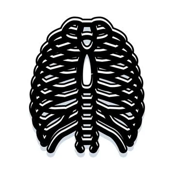 Human rib cage skeleton structure anatomy illustration Illustrazione stock