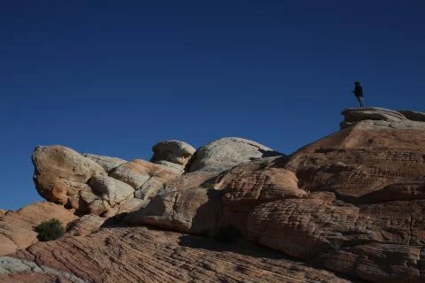 Human on the rock Stock Photos