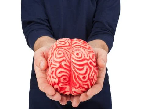 Human rubber brain between the hands Stock Photos