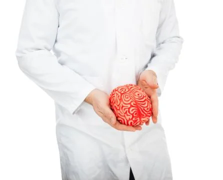 Human rubber brain between the hands Foto stock