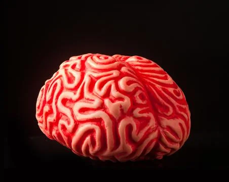 Human rubber brain Stock Photos