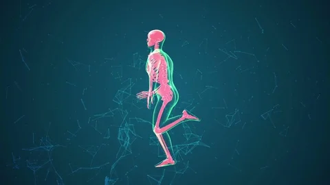 Human Running X-ray Body with Skeleton. 3d Render Full HD Video stock 69809703
