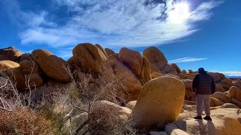 🚶‍♂️ Human Scale: Exploring the Alien Red Rocks of Joshua Tree Stock Photos