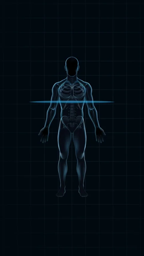 Human ScanHuman body scanner HUD. man skeletal system x-ray. High techner Mobile 動画素材 331362020