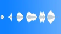 Human screamSound Effect
