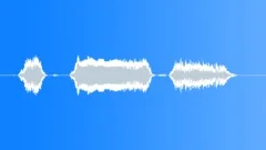 HUMAN, SCREAMSound Effect