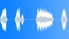 HUMAN, SCREAMSound Effect