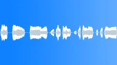 HUMAN, SCREAM Sound Effect