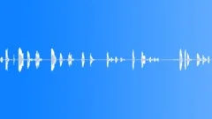 HUMAN, SCREAMSound Effect