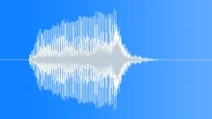 HUMAN, SCREAMSound Effect