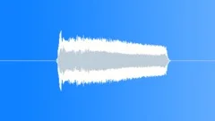 HUMAN, SCREAM Sound Effect
