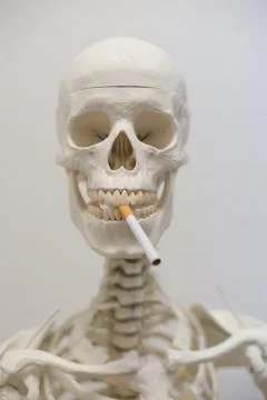 Human scull with Cigarette Smoke on white Stock Photos