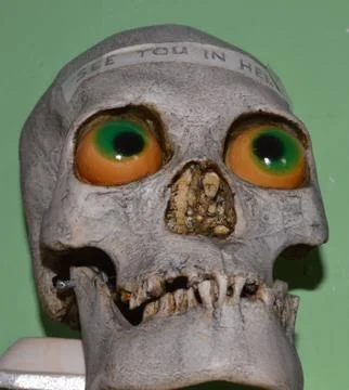 Human scull Stock Photos