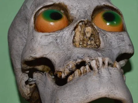 Human scull Stock Photos