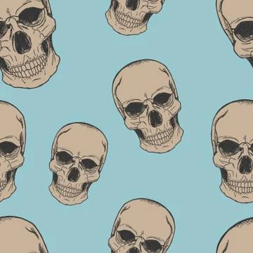 Human scull sketch pattern Stock Illustration