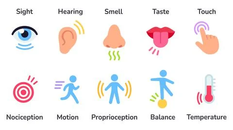 Human senses icon set Stock Illustration