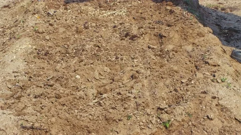 A human shadow in a garden bed scatters fertilizer or seeds onto the soil. Stock Footage 199423883