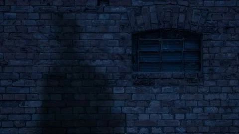 A human shadow moves along a brick wall in the dark. Stock Footage 135350728