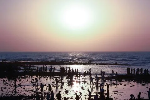 Human shadows at sunset Stock Photos