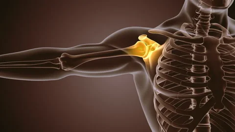 Human shoulder pain animation background | Stock Video | Pond5