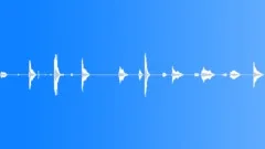 HUMAN, SIGHSound Effect