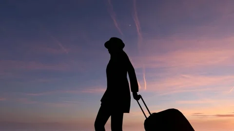 Human Silhouette Activity Under Bright Clear Sky Stock Footage 329082822
