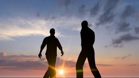 Human Silhouette Activity Under Bright Clear Sky Video stock 329082853