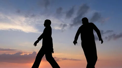 Human Silhouette Activity Under Bright Clear Sky Stock Footage 329082860