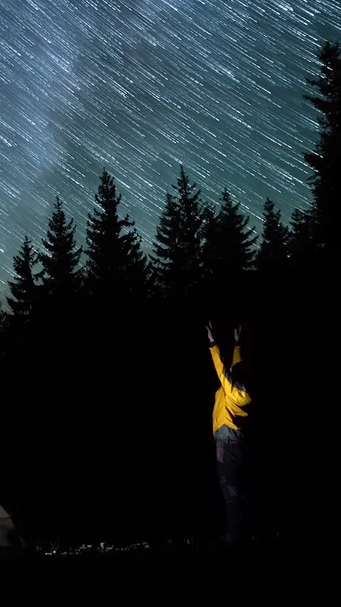 Human silhouette beneath star trails above dark conifer woodland Stock Footage 335194003