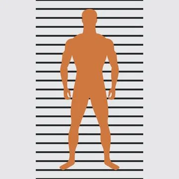 Human silhouette of slender man with normal weight Stock Illustration