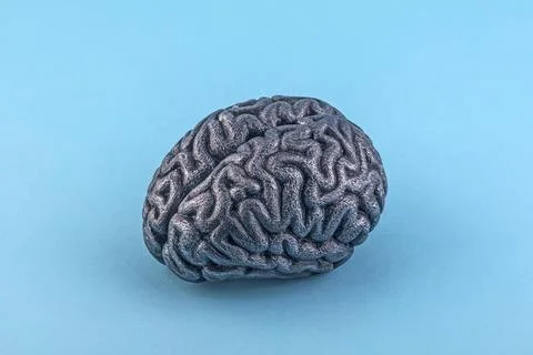 Human silver brain model isolated on blue background with clipping path Stock Photos