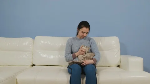 Human is sitting on the couch and petting a pet. Girl's love for cat Stock Footage 129604134