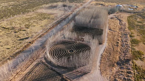Human-size geometric hedge maze in Malargue, Argentina. Countryside aerial pan Stock Footage 333726801