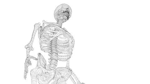 Human skeleton. 3d illustration Stock-Illustration