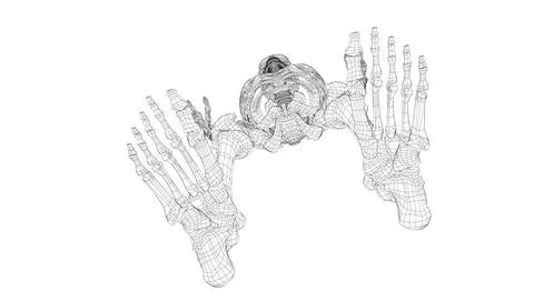 Human skeleton. 3d illustration Ilustração Stock