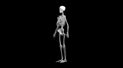 Human skeleton with alpha matte HD loop Stock Footage 8960994
