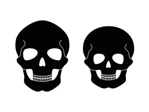 Human skeleton anatomy Stock Illustration