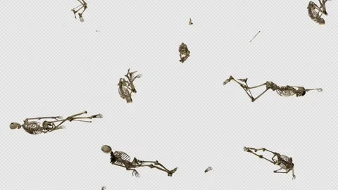 Human skeleton, anatomy in motion on transparent background Stock Footage 305662797