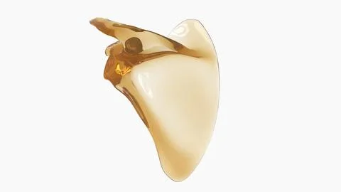 Human skeleton anatomy Scapula Bone 3D Rendering 스톡 일러스트