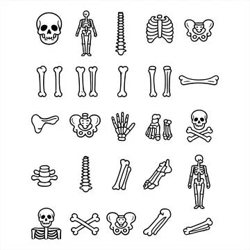 Human Skeleton and Bones Line Icon Pack Stock-Illustration