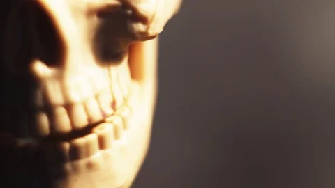 Human skeleton and skull close-up Stock Footage 106574219